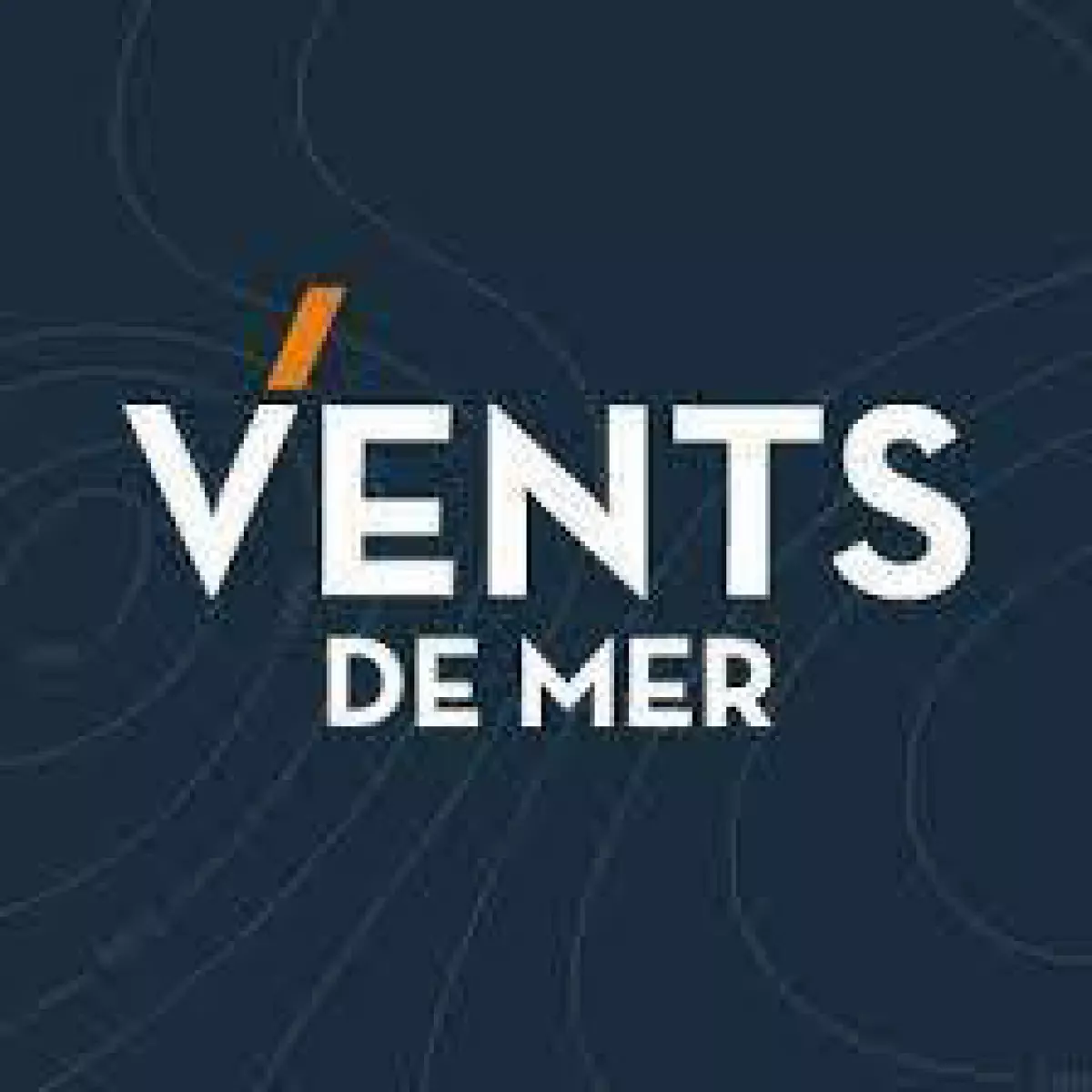 Avis client pour la réalisation du site e-business Vents de Mer